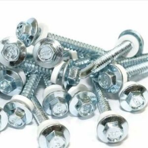 SDS SCREW