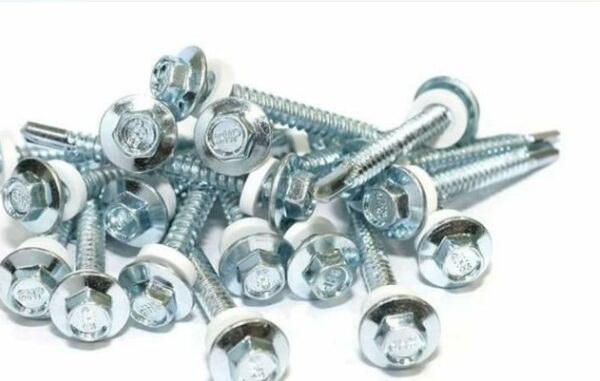 SDS SCREW